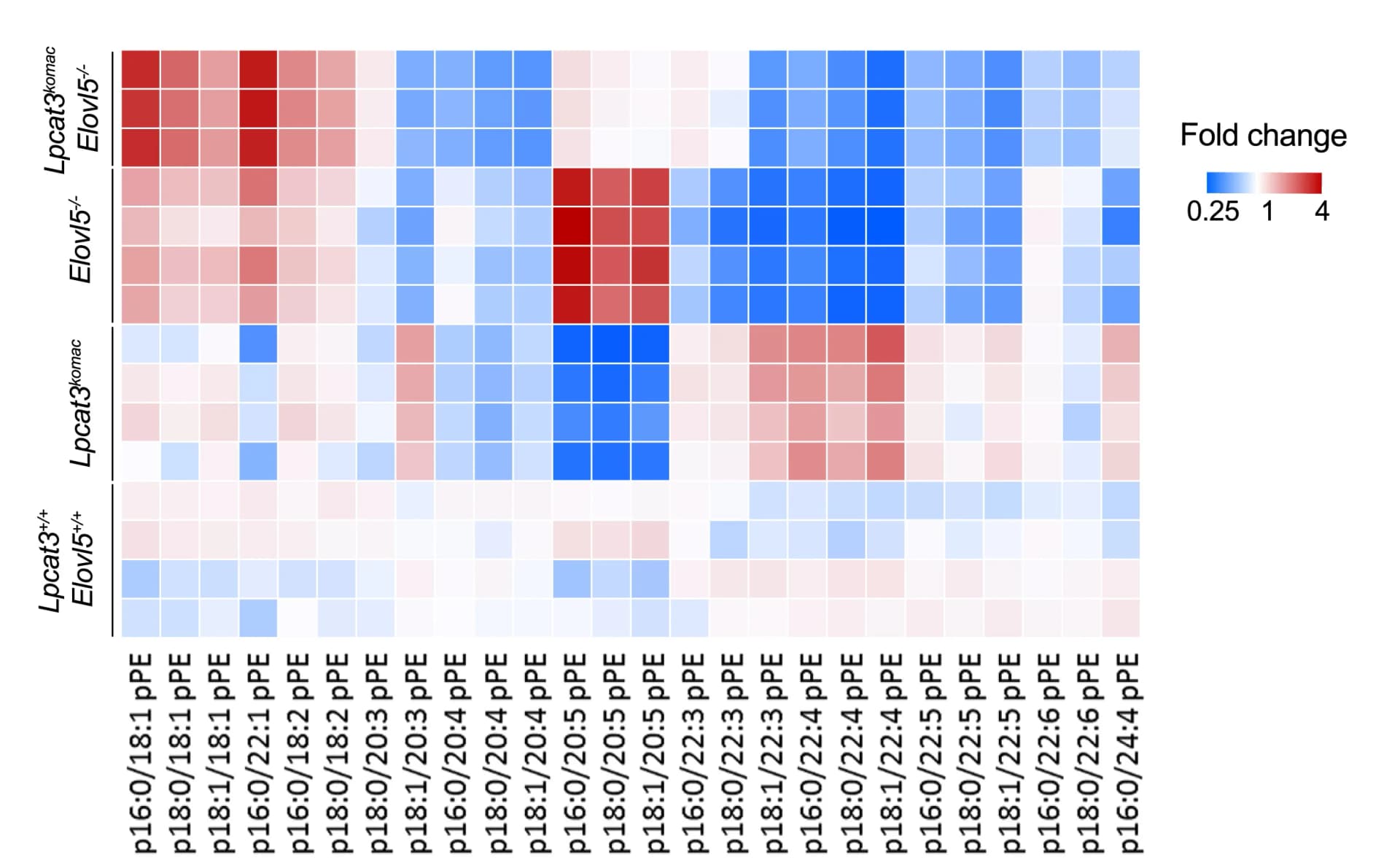 Open access visualization of Heatmap, pPEs, Phospholipid Subclass, Macrophages
