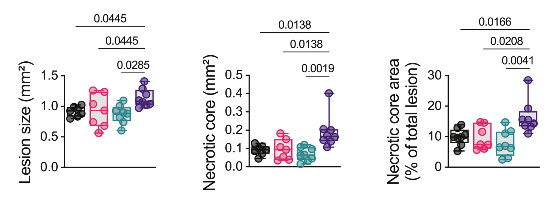 Open access visualization of Violin Plot, Box Plot, Scatter Plot, Atherosclerotic Lesion, Necrotic Core Area