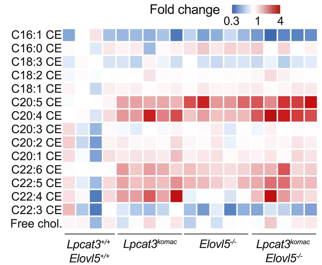 Open access visualization of Heatmap, Cholesteryl Ester, Atheroma Plaque, Ldlr−/− Mice, Hematopoietic Cells