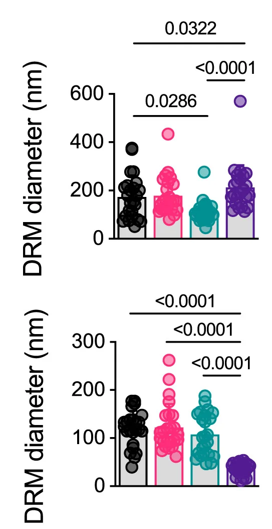Open access visualization of Bar Plot, Scatter Plot, DRMs, Atomic Force Microscopy, Ultracentrifugation