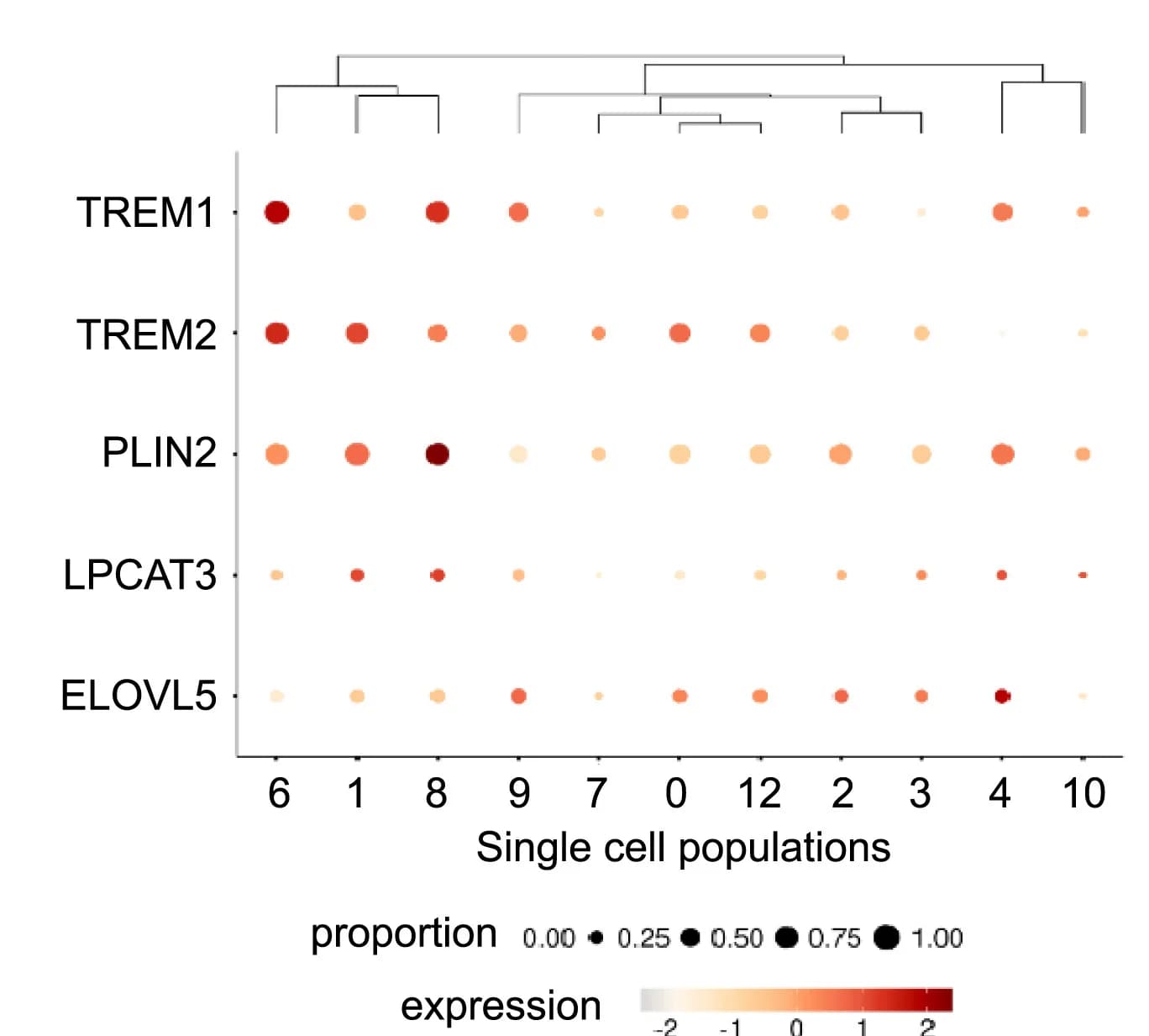 Open access visualization of Bubble Plot, Clustered, Gene Expression, Cell Proportion, Cell Clusters