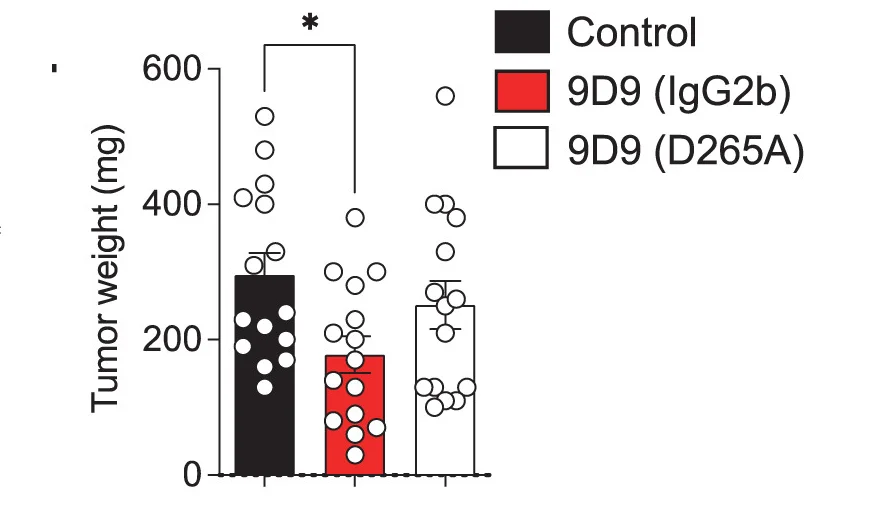 Open access visualization of Bar Plot, Scatter Plot, Error Bars, Tumor Growth, Tumor Weights