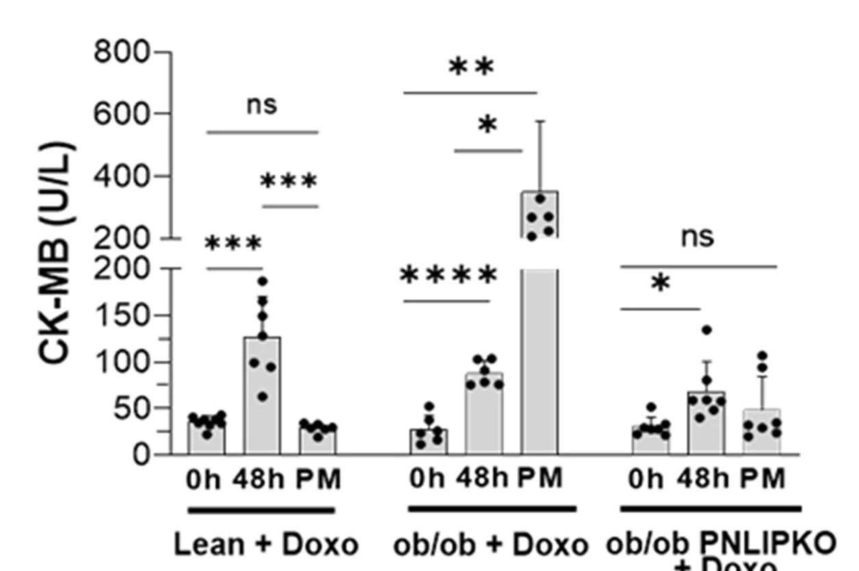 Open access visualization of Bar Plot, Error Bars, Scatter Plot, CK-MB, Serum