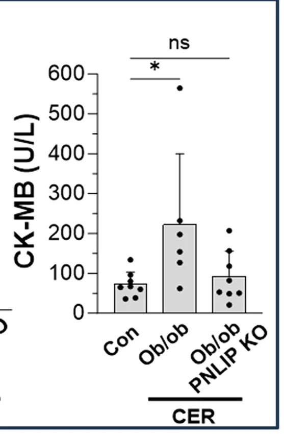 Open access visualization of Bar Plot, Error Bars, CK-MB, Controls, AP