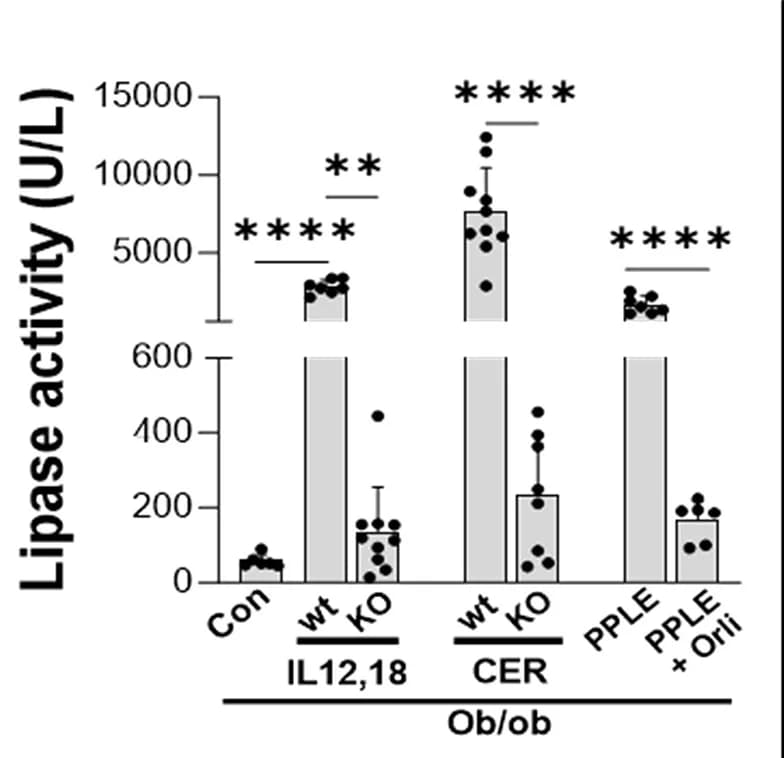 Open access visualization of Bar Plot, Scatter Plot, Error Bars, Serum Lipase, Mice
