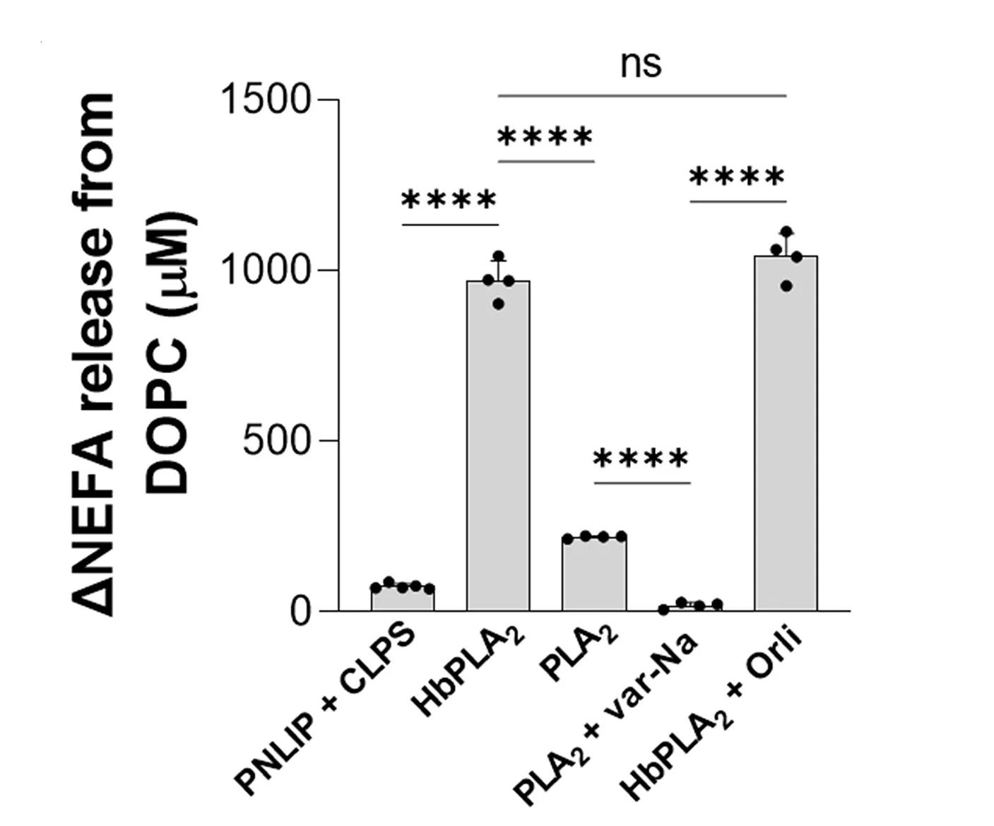 Open access visualization of Bar Plot, Error Bars, NEFA Release, PNLIPmCherry, Colipase