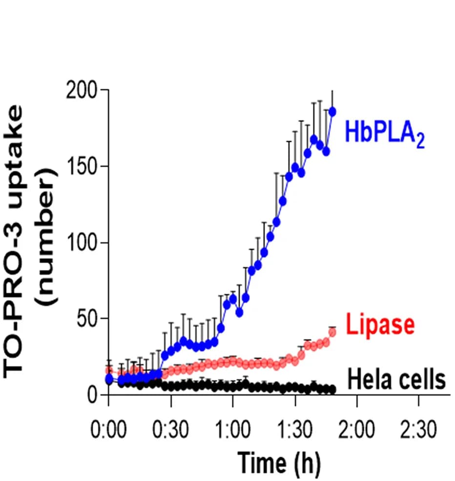 Open access visualization of Line Plot, Error Bars, TO-PRO-3 Uptake, Quantification