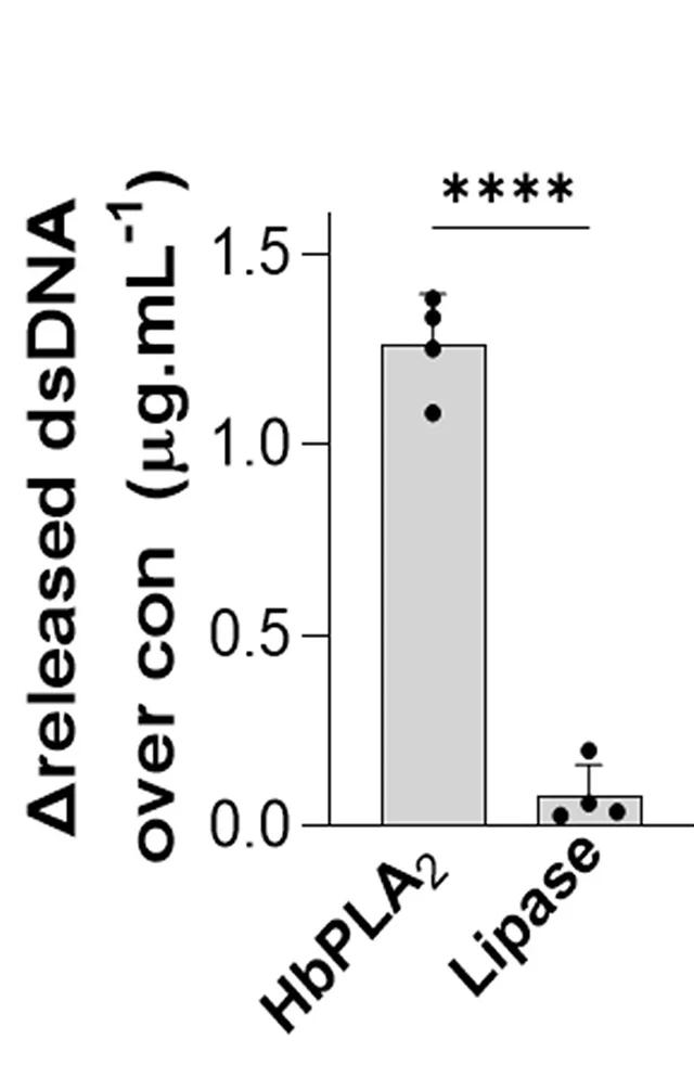 Open access visualization of Bar Plot, Error Bars, dsDNA Release, HeLa Cells, HbPLA2