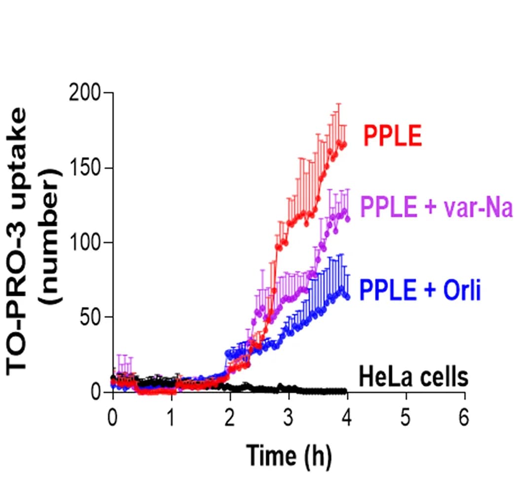 Open access visualization of Line Plot, Error Bars, TO-PRO-3 uptake, HeLa Cells, PPLE
