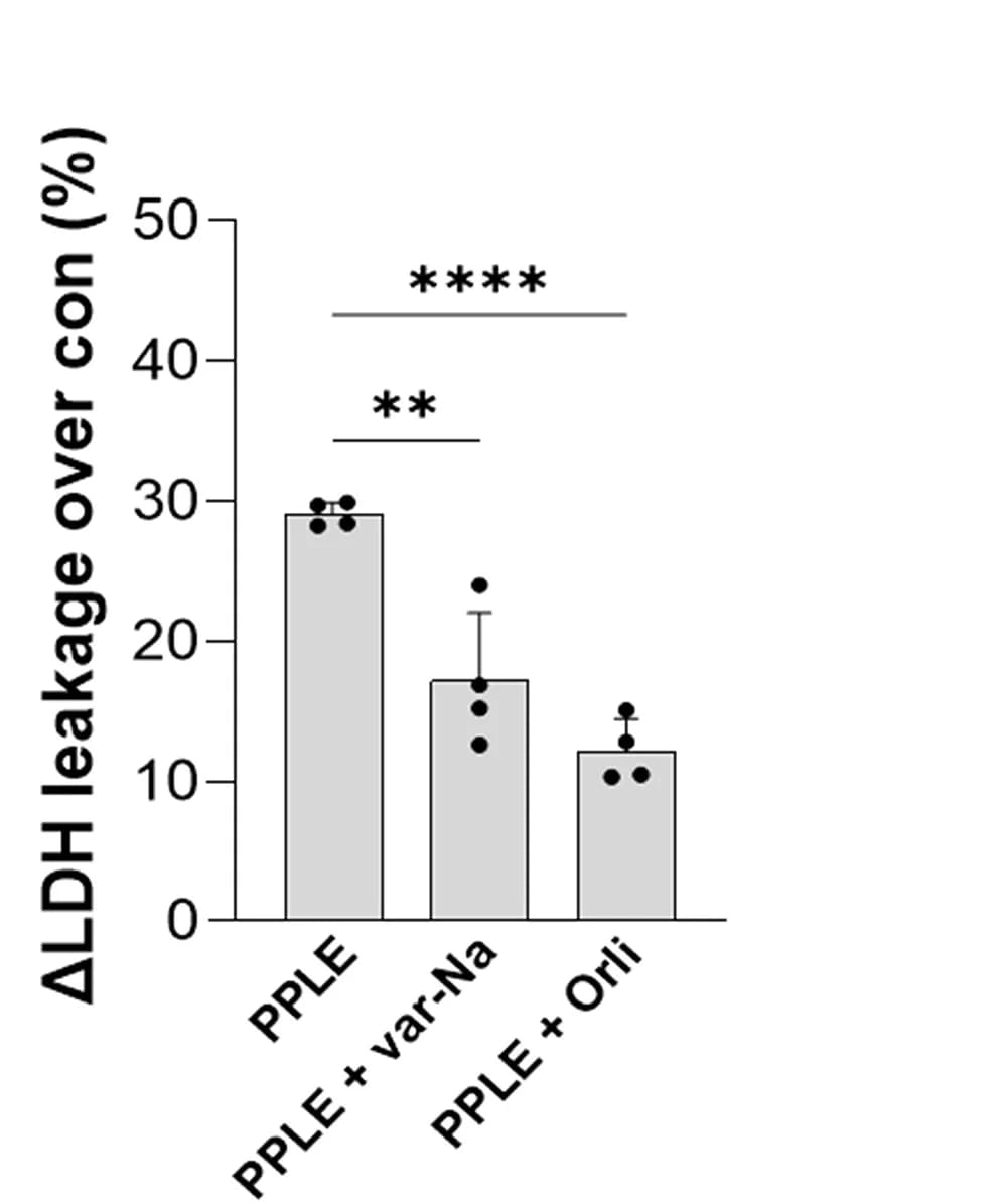Open access visualization of Bar Plot, Error Bars, LDH Leakage, HeLa Cells, PPLE