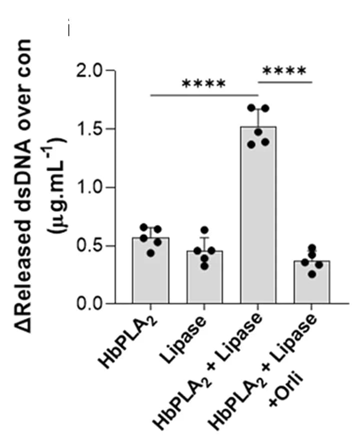 Open access visualization of Bar Plot, Error Bars, TO-PRO-3 Uptake, Lipid Droplet Loss, NEFA Release
