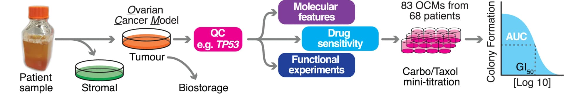 Open access visualization of Workflow, Line Plot, Photo, Sample Processing, OCM Validation