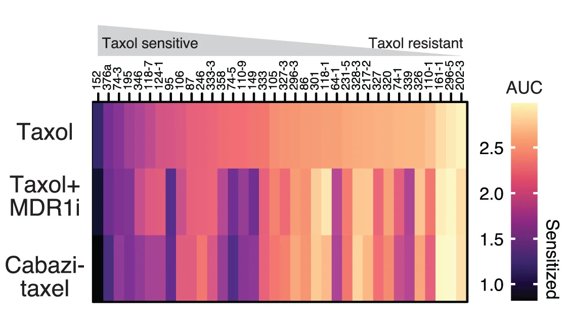 Open access visualization of Heatmap, AUC, OCMs, Taxol, MDR1i