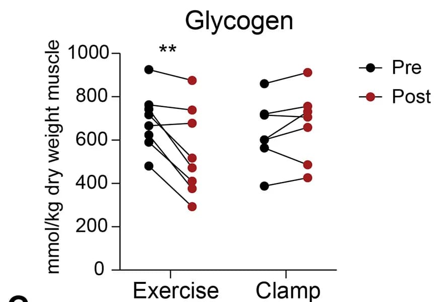 Open access visualization of Scatter Plot, Glycogen Content, Paired t-test