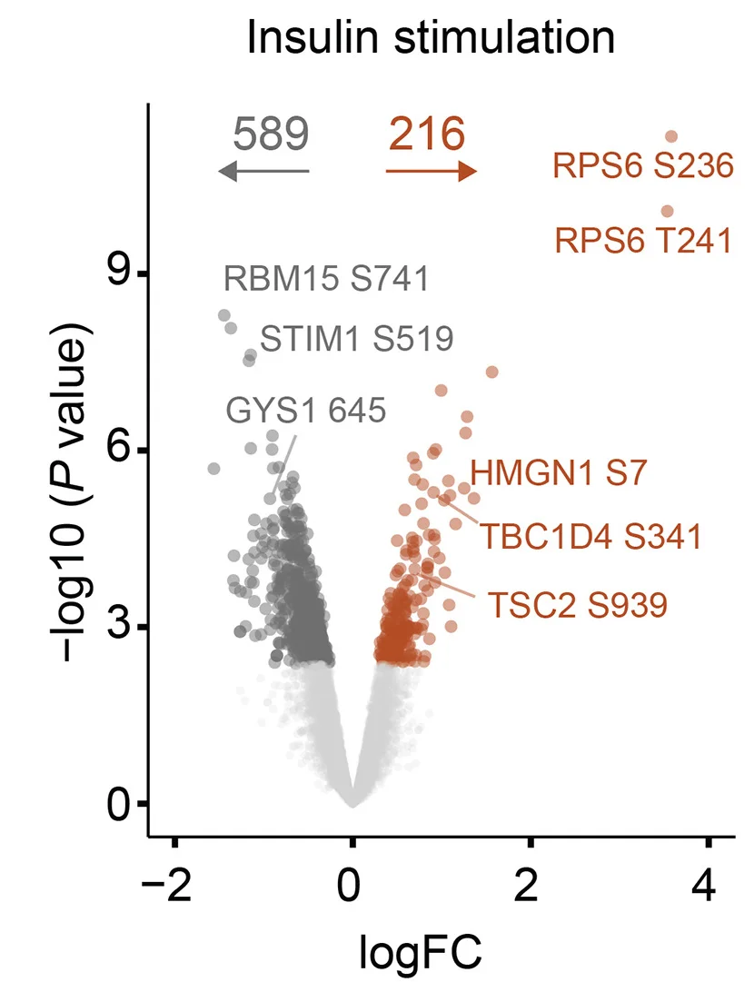 Open access visualization of Volcano Plot, Scatter Plot, Insulin Signaling, Exercise Signaling, Linear Model