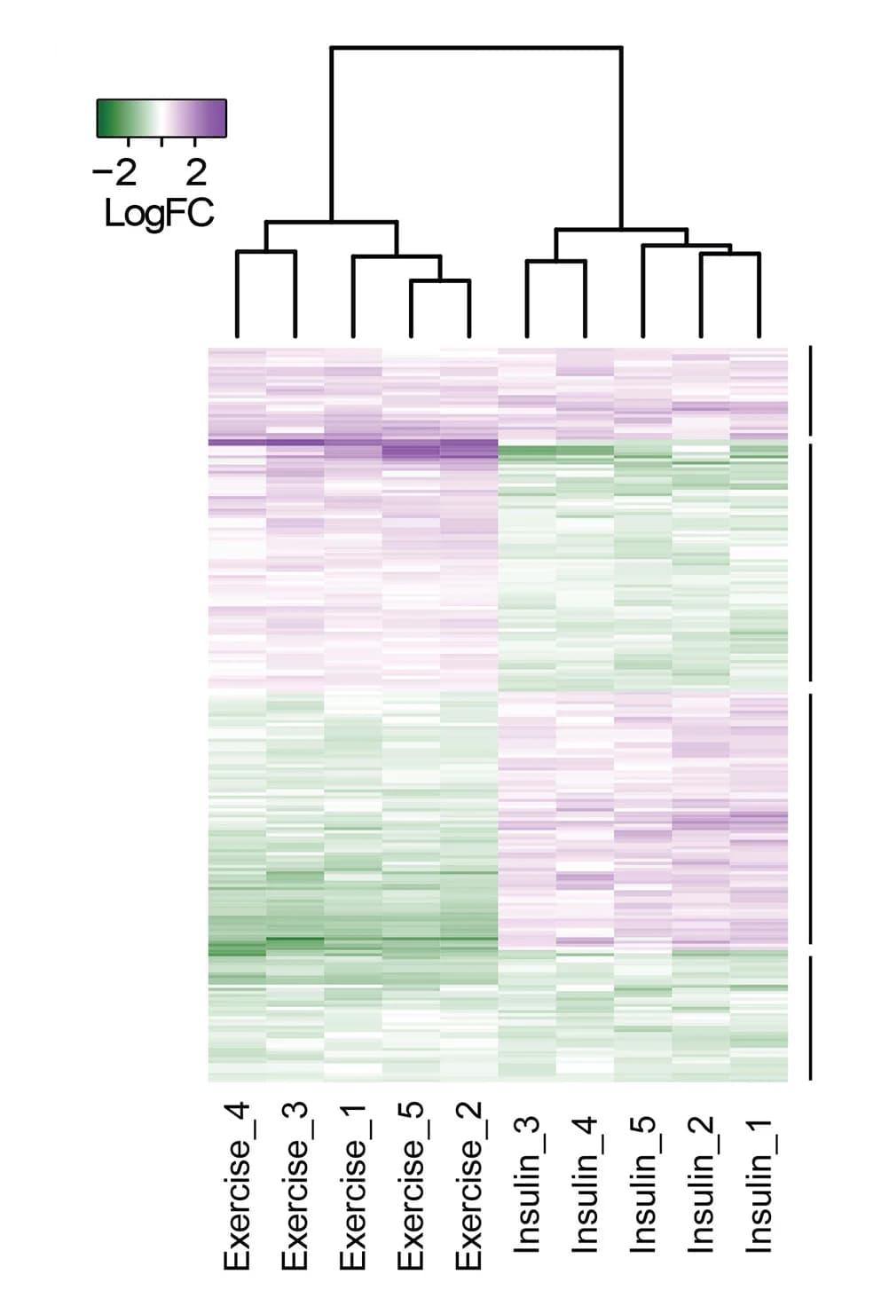 Open access visualization of Heatmap, Clustered, Fold Change, Phosphosites, Exercise