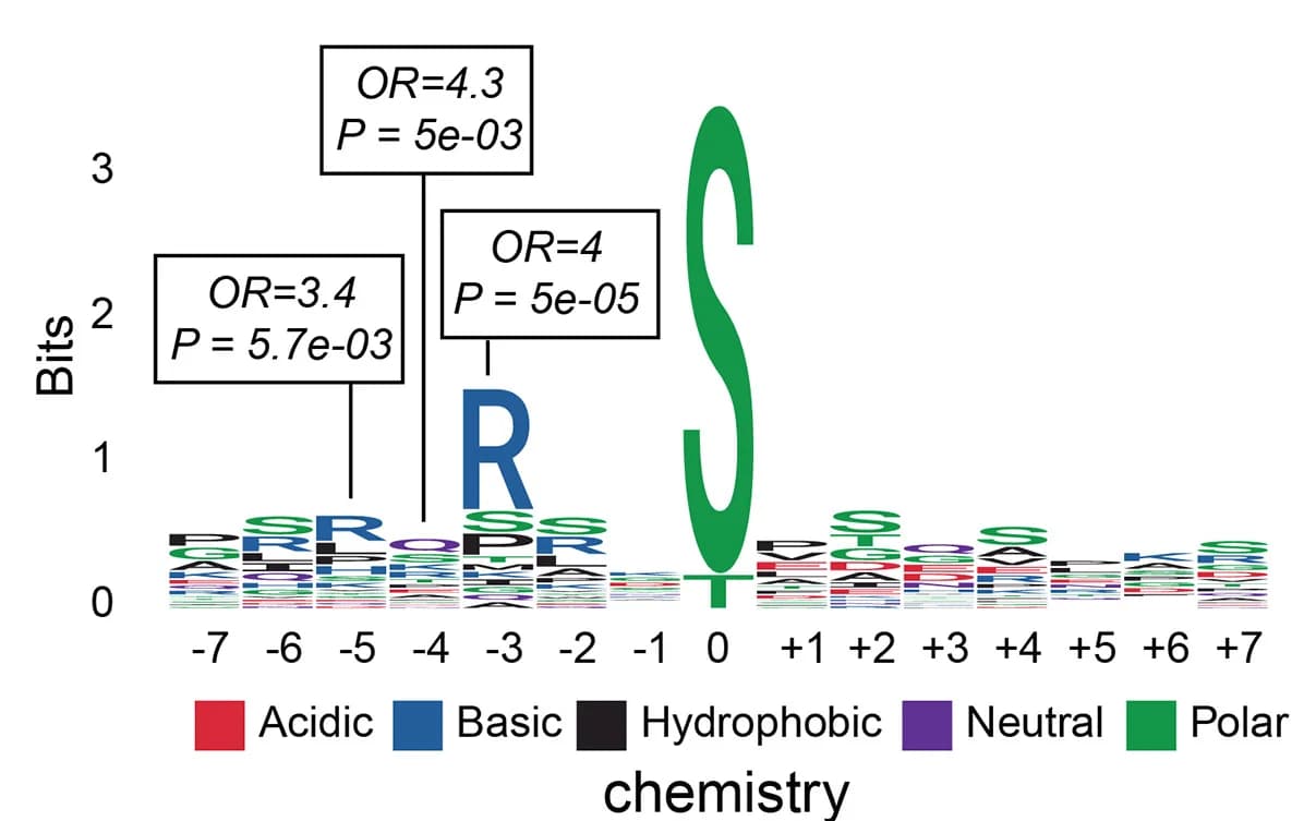 Open access visualization of Illustration, Sequence Window, Phosphosites, Insulin, Exercise