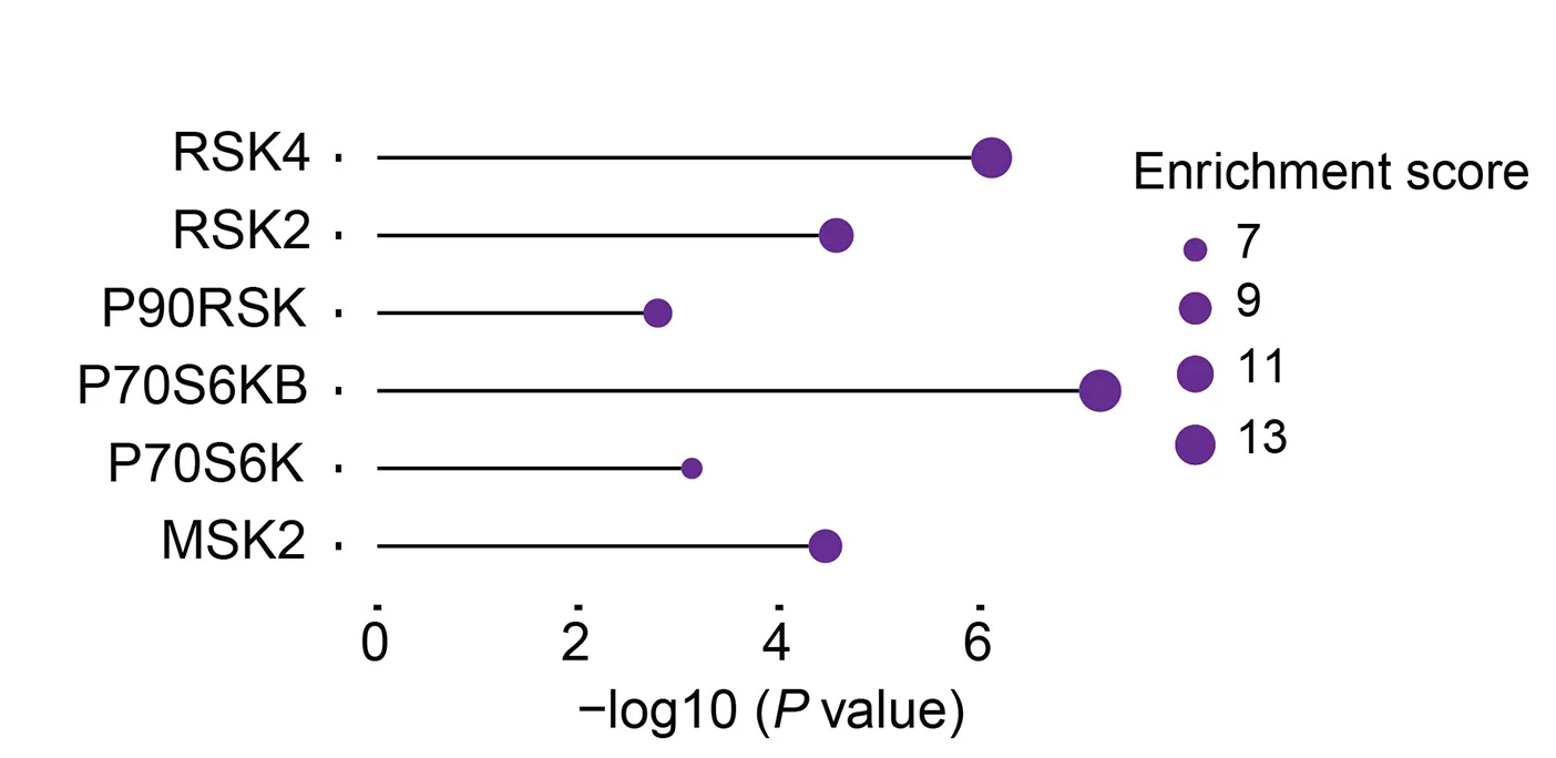 Open access visualization of Scatter Plot, Bubble Plot, Kinase Enrichment Analysis, Phosphosites, Insulin