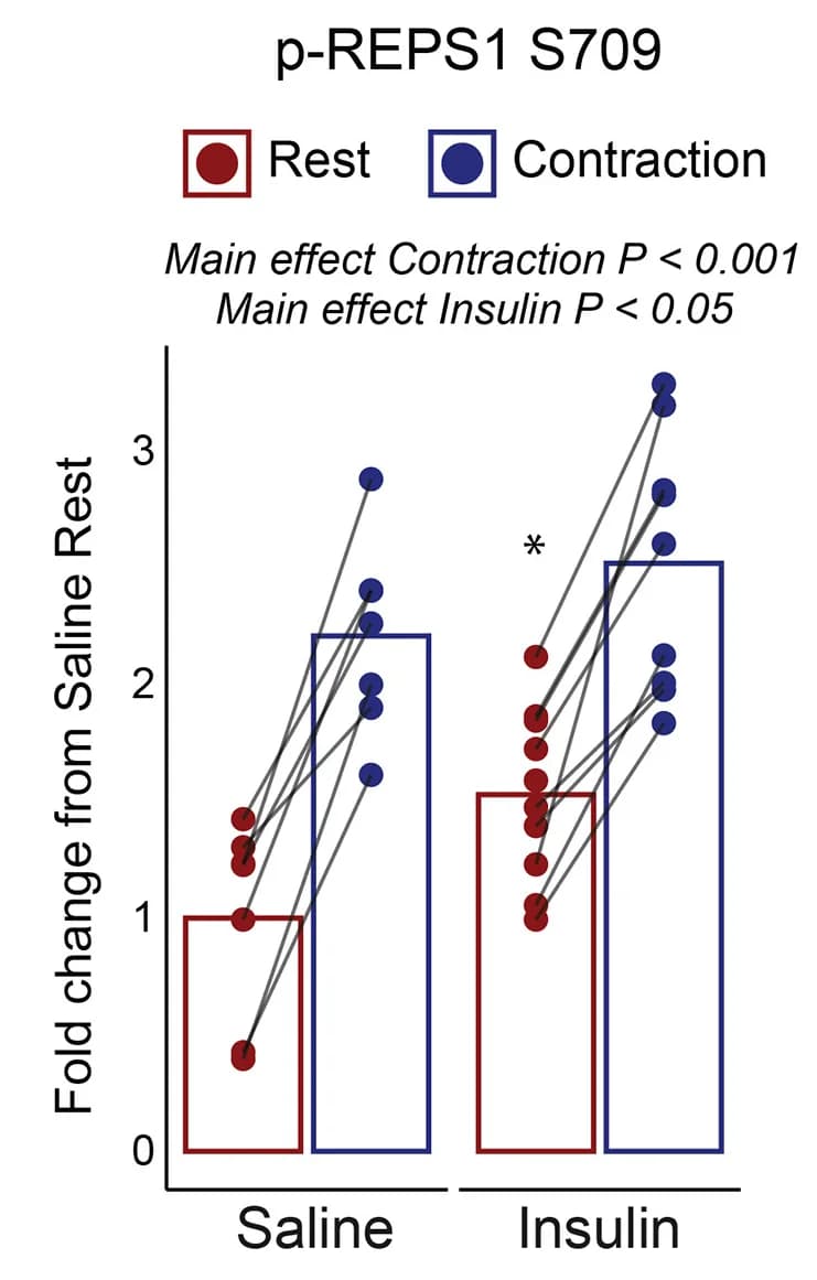 Open access visualization of Bar Plot, Scatter Plot, Line Plot, Western Blot, REPS1 Phosphorylation
