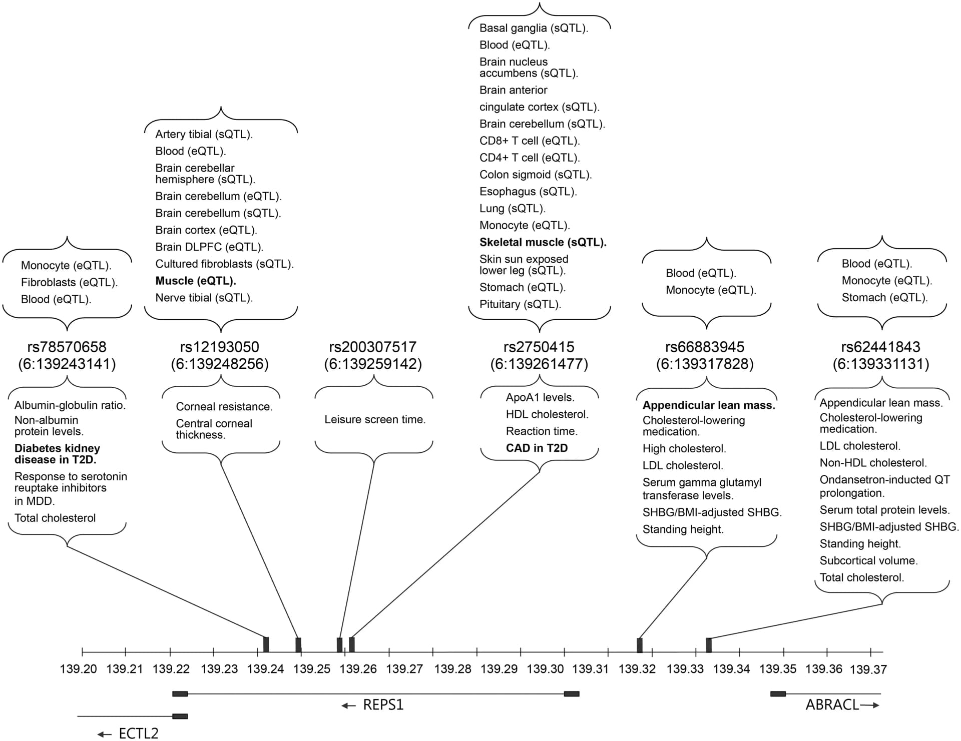 Open access visualization of Manhattan Plot, REPS1 variants, NHGRI-EBI GWAS Catalog, Open Targets Genetics, REPS1 region