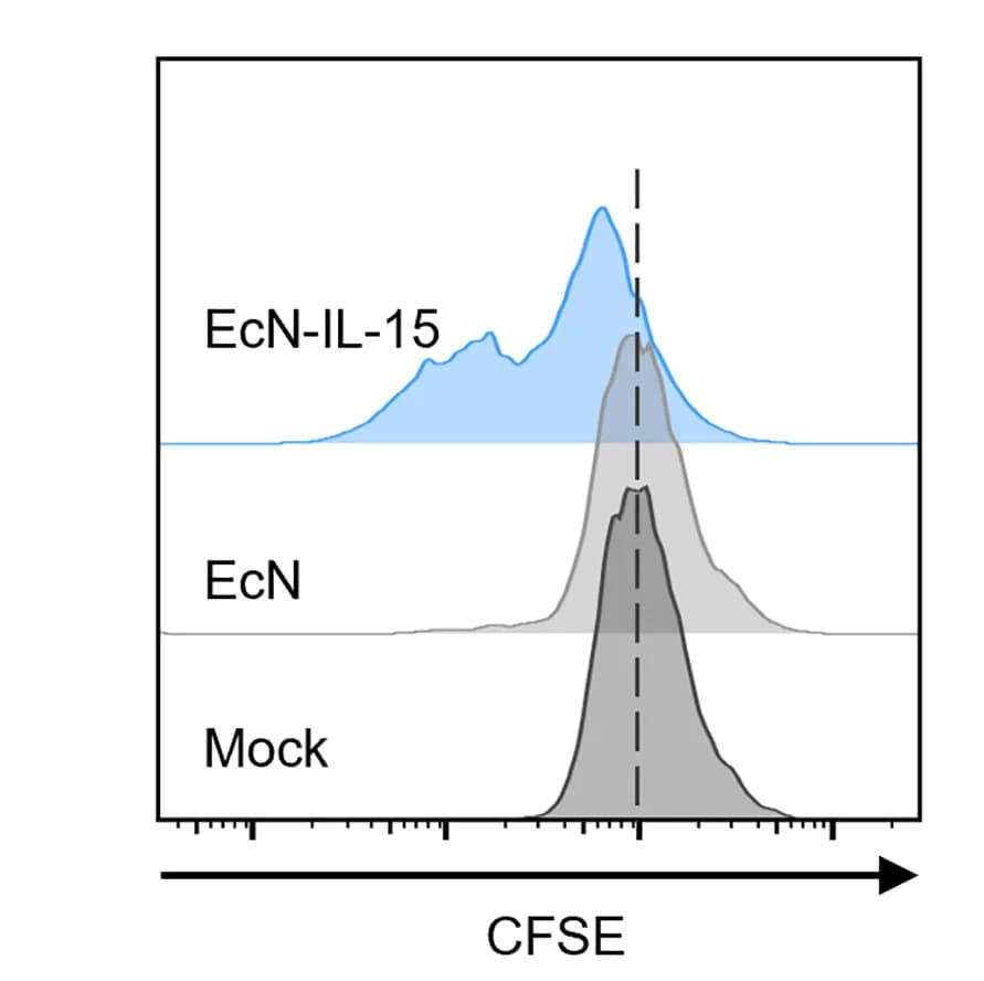 Open access visualization of Density Plot, Line Plot, Mouse Splenocytes, CFSE, MMP2 Cleavage