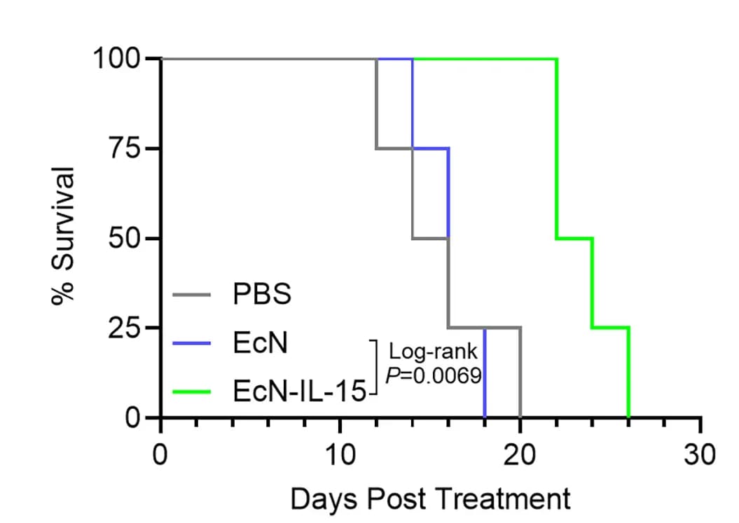 Open access visualization of Survival Curve, Line Step, Kaplan-Meier Survival Curves