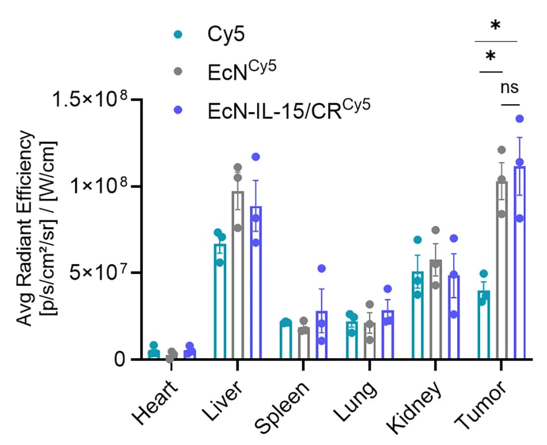 Open access visualization of Bar Plot, Error Bars, Clustered, Scatter Plot, Fluorescence Signals