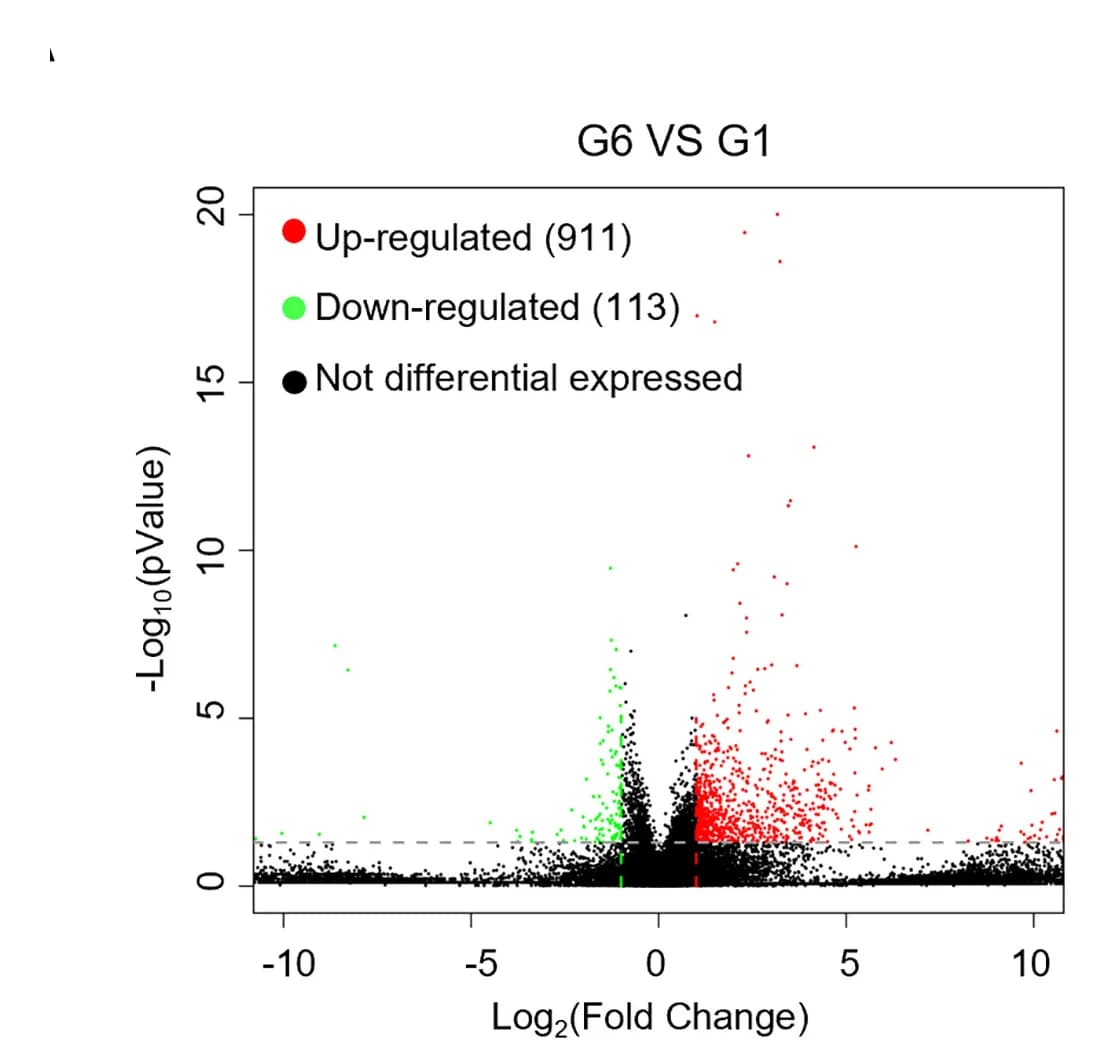 Open access visualization of Volcano Plot, RNA-Seq, Colon26 Tumors, Differentially Expressed Genes