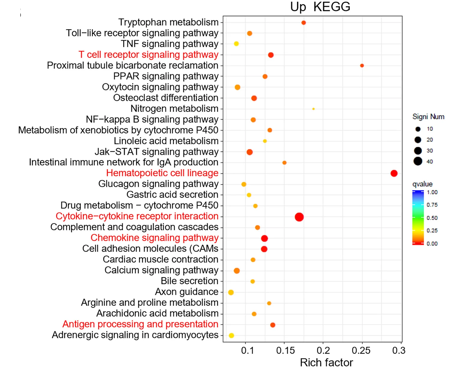 Open access visualization of Scatter Plot, Bubble Plot, Volcano Plot, KEGG Enrichment Analysis, Upregulated Genes