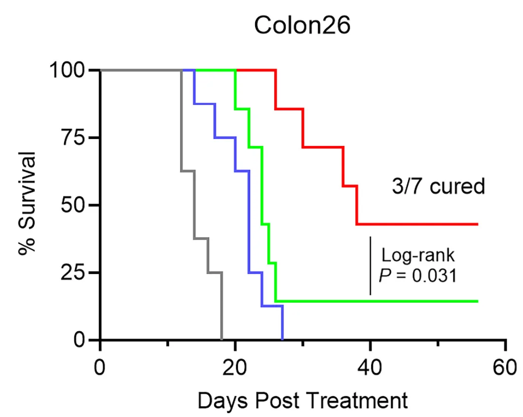 Open access visualization of Survival Curve, Line Step, Tumor Growth, Survival Analysis, Biological Replicates