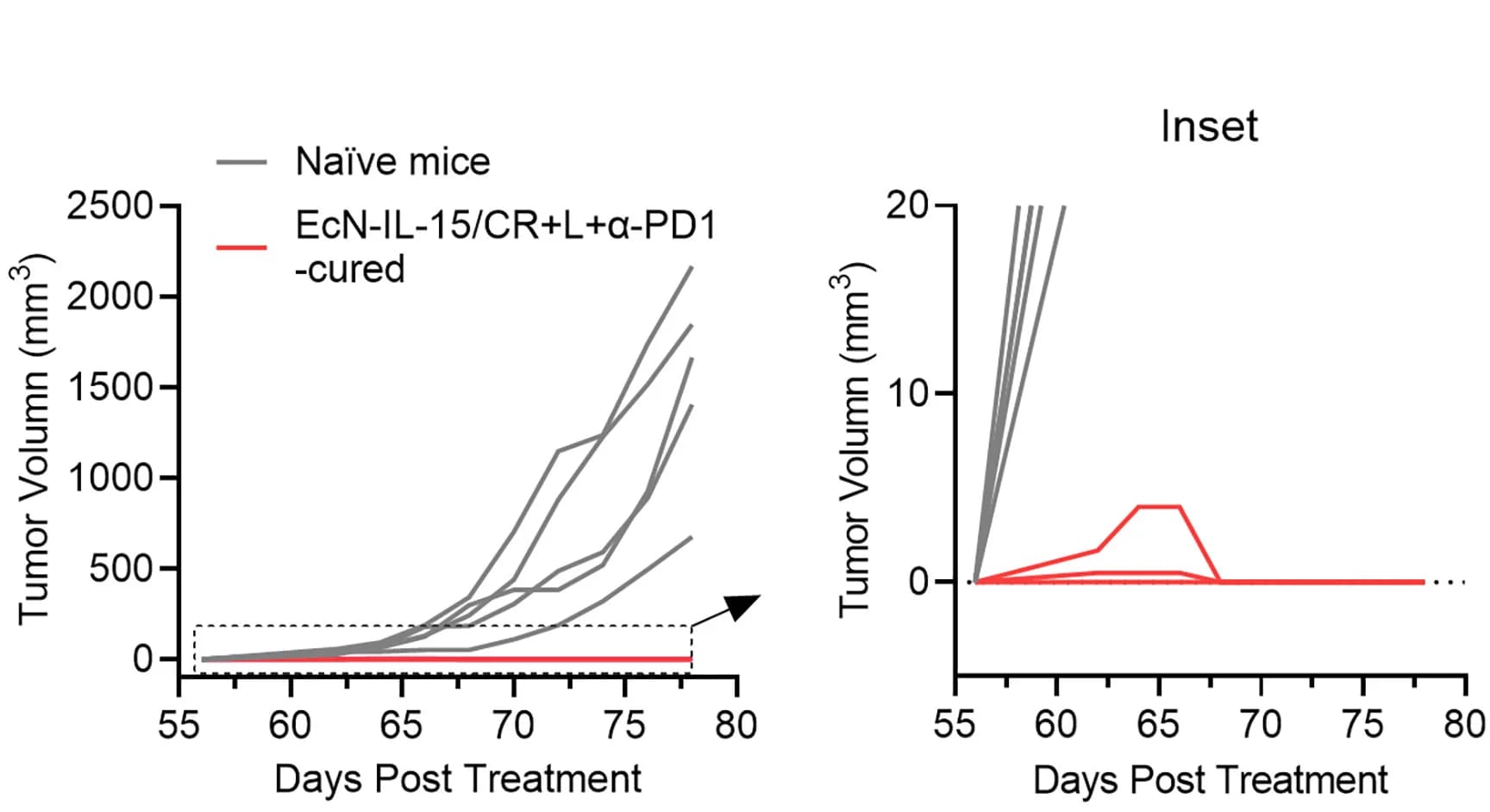 Open access visualization of Line Plot, Tumor Growth Curves, Rechallenged Mice, Cured Mice, Naive Mice