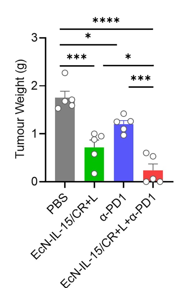 Open access visualization of Bar Plot, Error Bars, Scatter Plot, Lung Metastasis, 4T1-luc Model