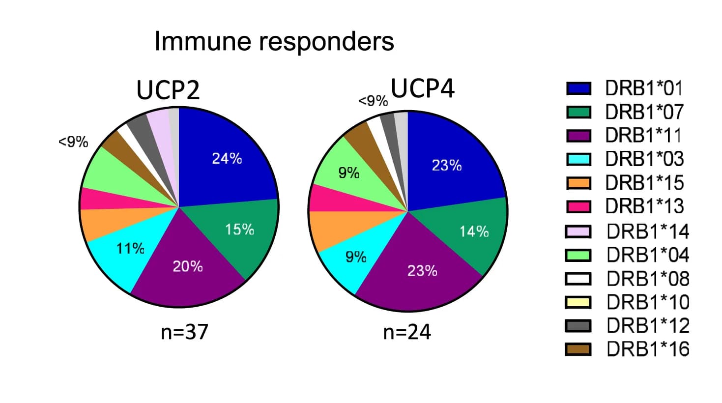 Open access visualization of Pie Chart, HLA-DR-B1 Allele, Patient Responders, UCP2, UCP4