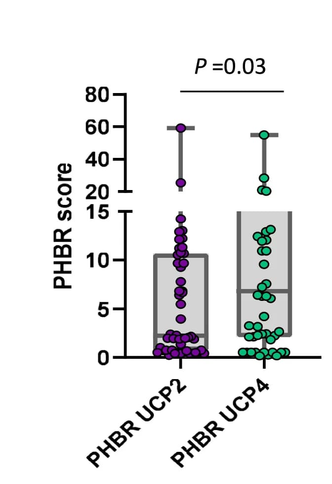 Open access visualization of Box Plot, Scatter Plot, PHBR Scores, UCP2, UCP4