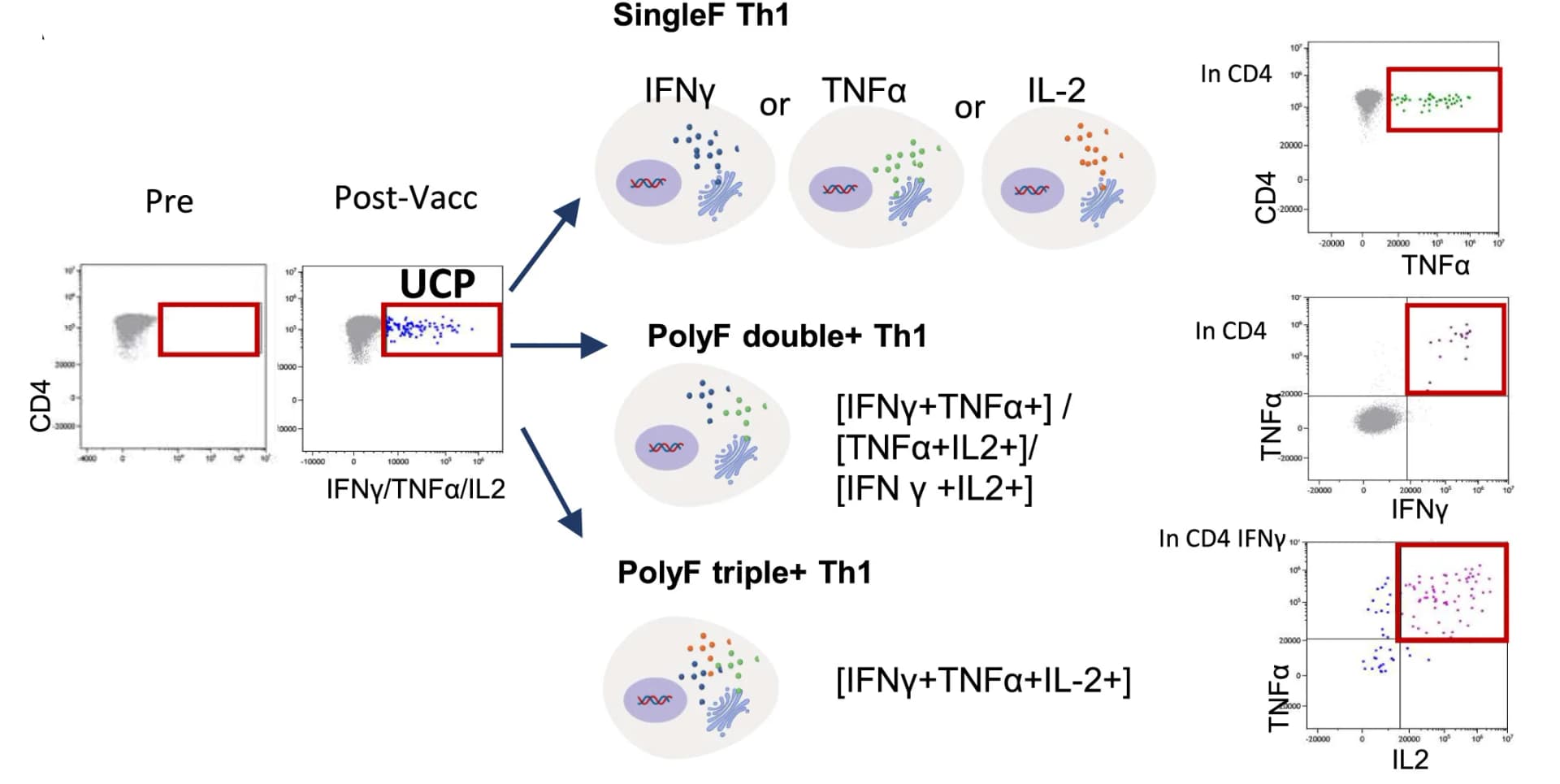 Open access visualization of Scatter Plot, Illustration, CD4+ Th1 Cells, Vaccine, Cytometry
