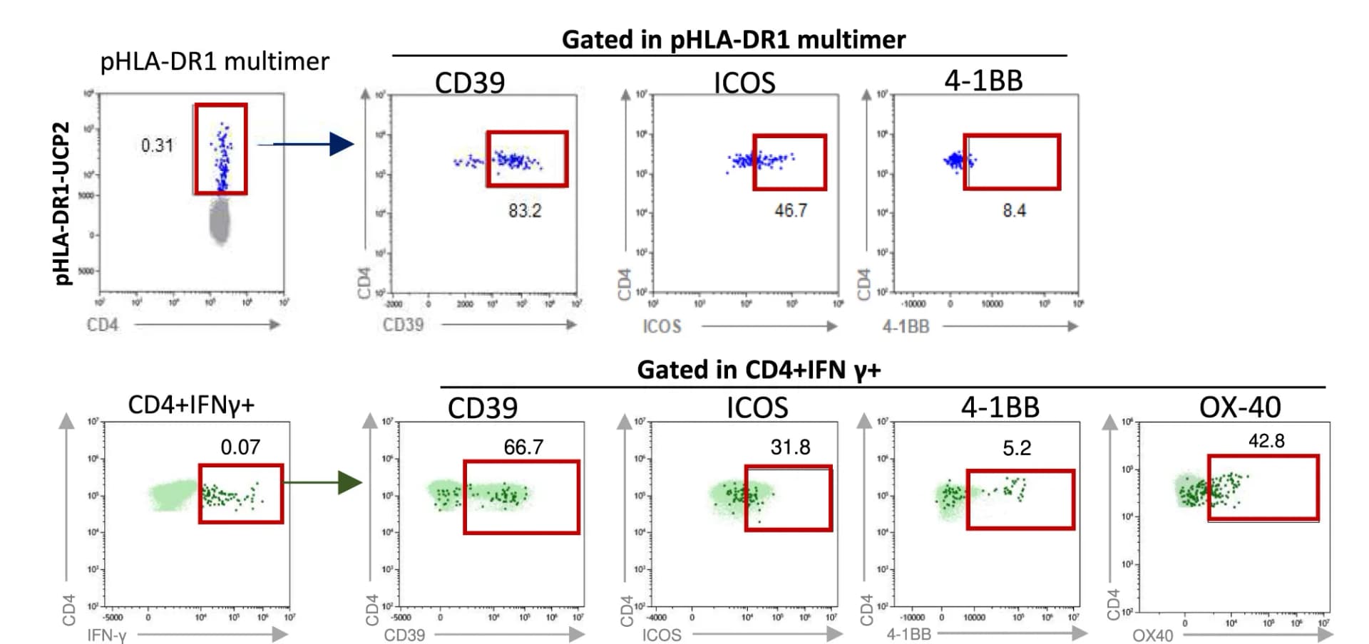 Open access visualization of Scatter Plot, Dot Plots, Activation Markers, CD39, ICOS