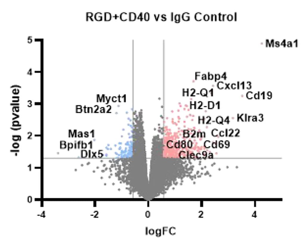Open access visualization of Volcano Plot, Scatter Plot, Differentially Expressed Genes, RNA-seq, XFM Tumors