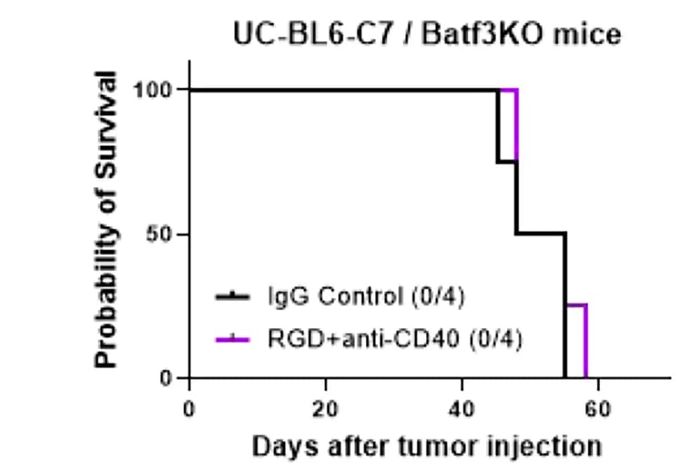 Open access visualization of Survival Curve, Line Step, Batf3ko Mice, UC-BL6-C7 Tumor, IgG Control