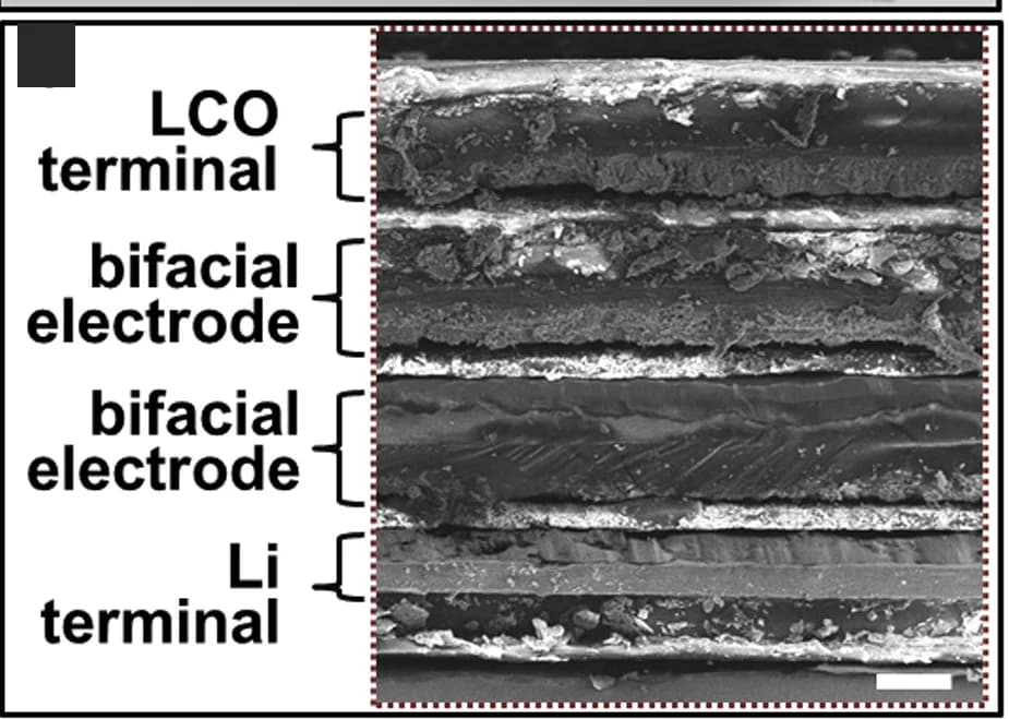Open access visualization of Microscopy, SEM Image, Cross-Section, Triple-Stacked Microbattery, Separators