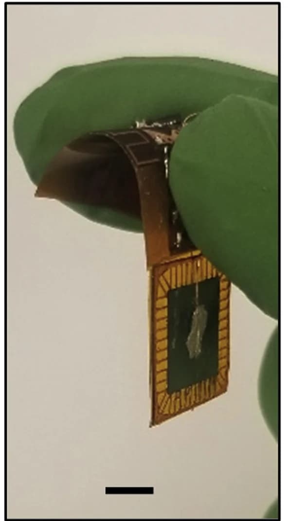 Open access visualization of Photo, Optical Image, BT Device, Microbattery