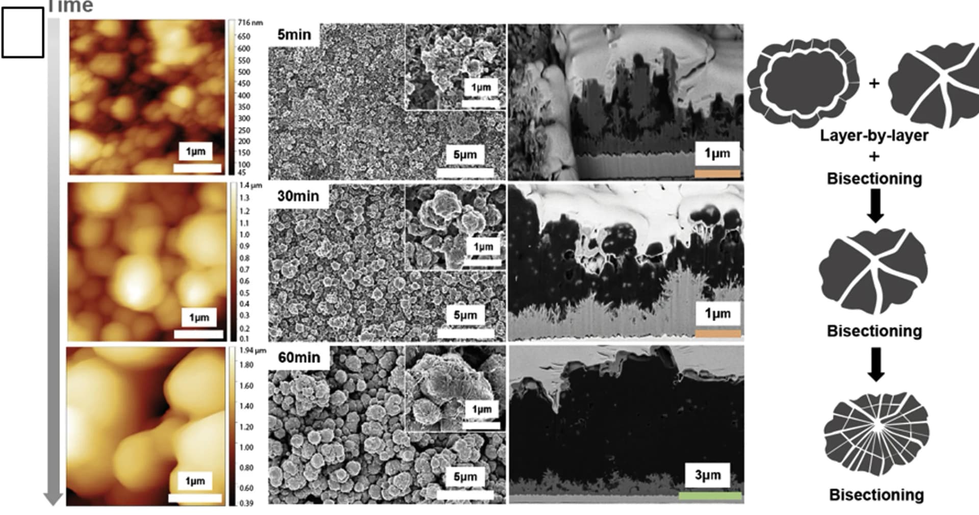 Open access visualization of Microscopy, Illustration, MOF, Fragmentation, PE Growth