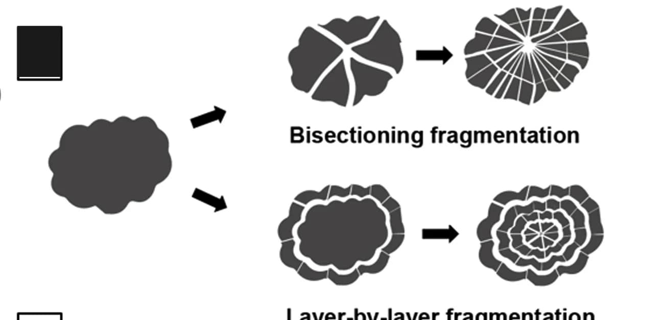Open access visualization of Workflow, Flowchart, Illustration, Schematic Representation, Fragmentation