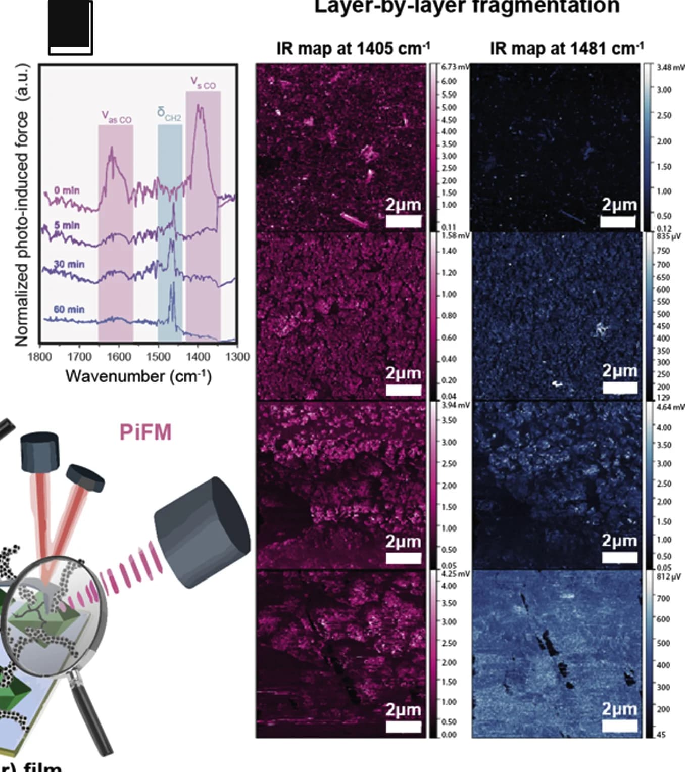 Open access visualization of Line Plot, Heatmap, Microscopy, Ethylene-polymerized, MIL-101 (Cr) Film