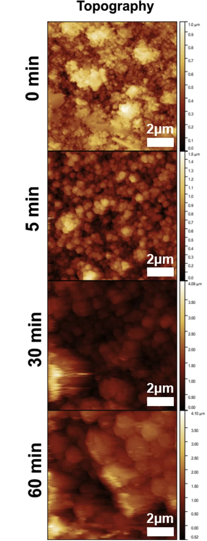 Open access visualization of Microscopy, AFM, MOF Thin Films, Ethylene Polymerization, PiFM