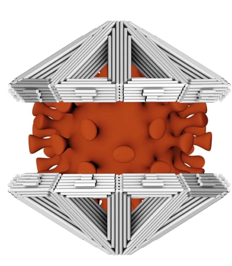Open access visualization of 3D Plot, Protein Structure, Chemical Structure, Virus Particle, Model