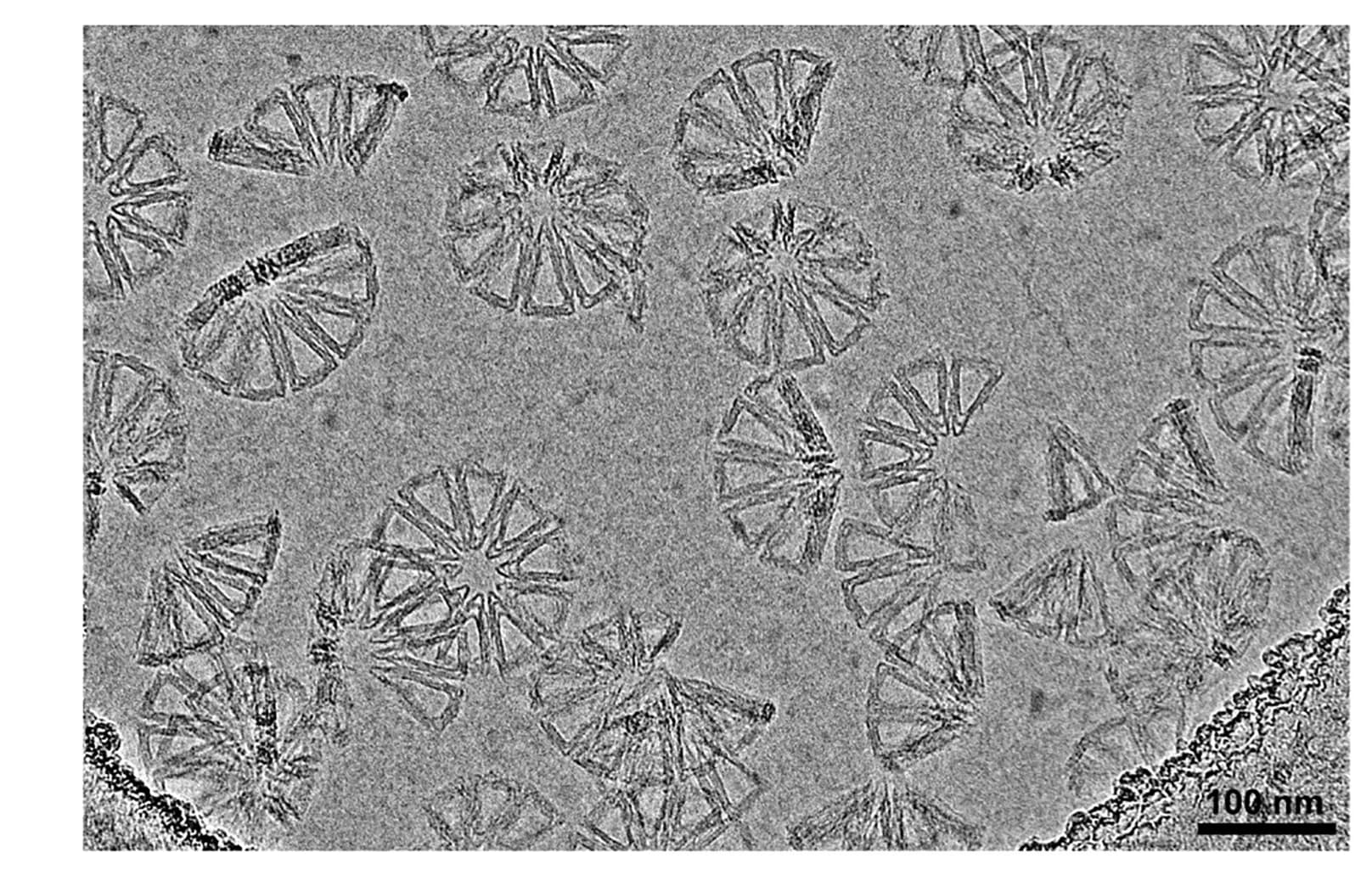 Open access visualization of Microscopy, Cryo-EM, Cone Assembly, DNA Origami