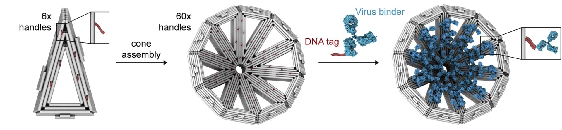 Open access visualization of Workflow, Illustration, Virus, DNA, Antibodies