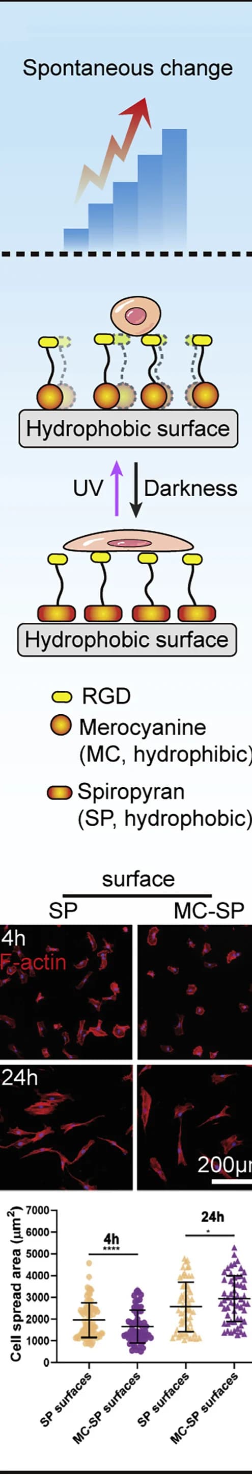 Open access visualization of Workflow, Microscopy, Scatter Plot, Error Bars, Cellular Mechanotransduction