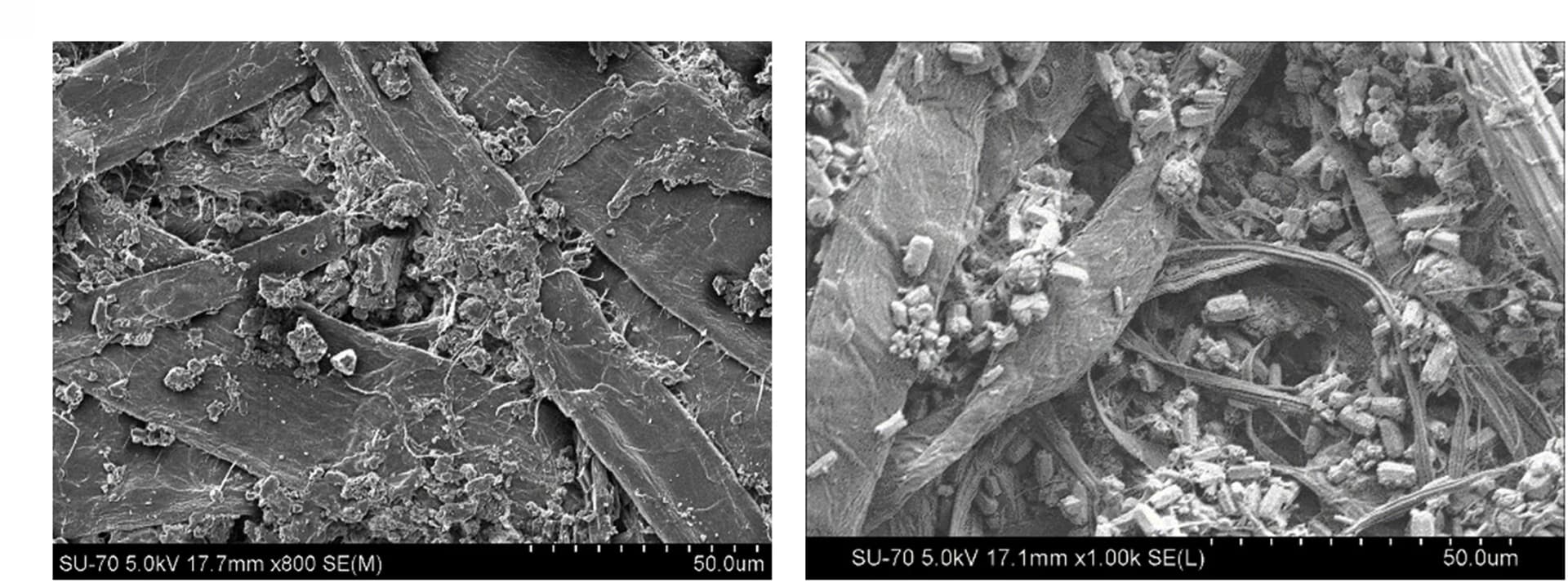 Open access visualization of Microscopy, SEM Images, Paper Composites, ROS-037, ROS-039