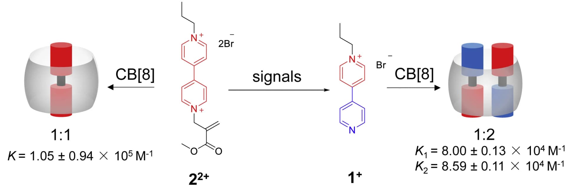 Open access visualization of Workflow, Chemical Structure, Illustration, Bipyridinium derivatives, Binding affinity